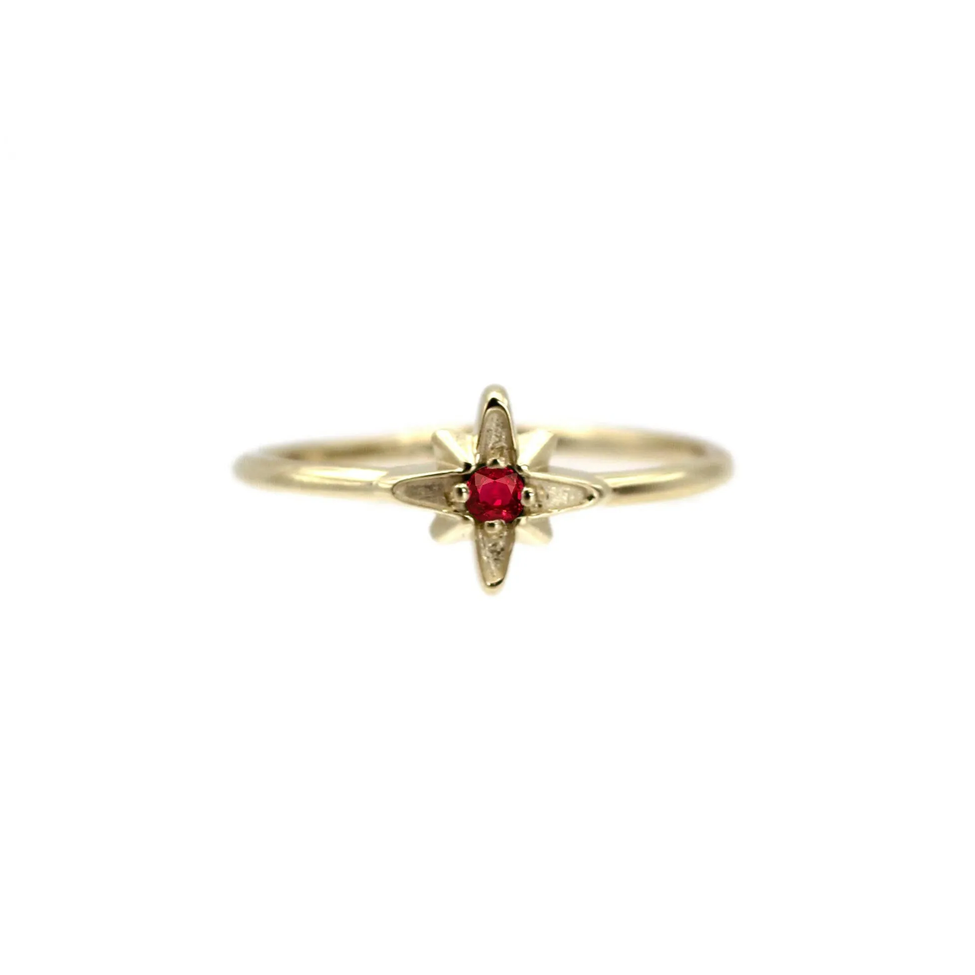 14k North Star Birthstone Ring by VicStoneNYC Fine Jewelry