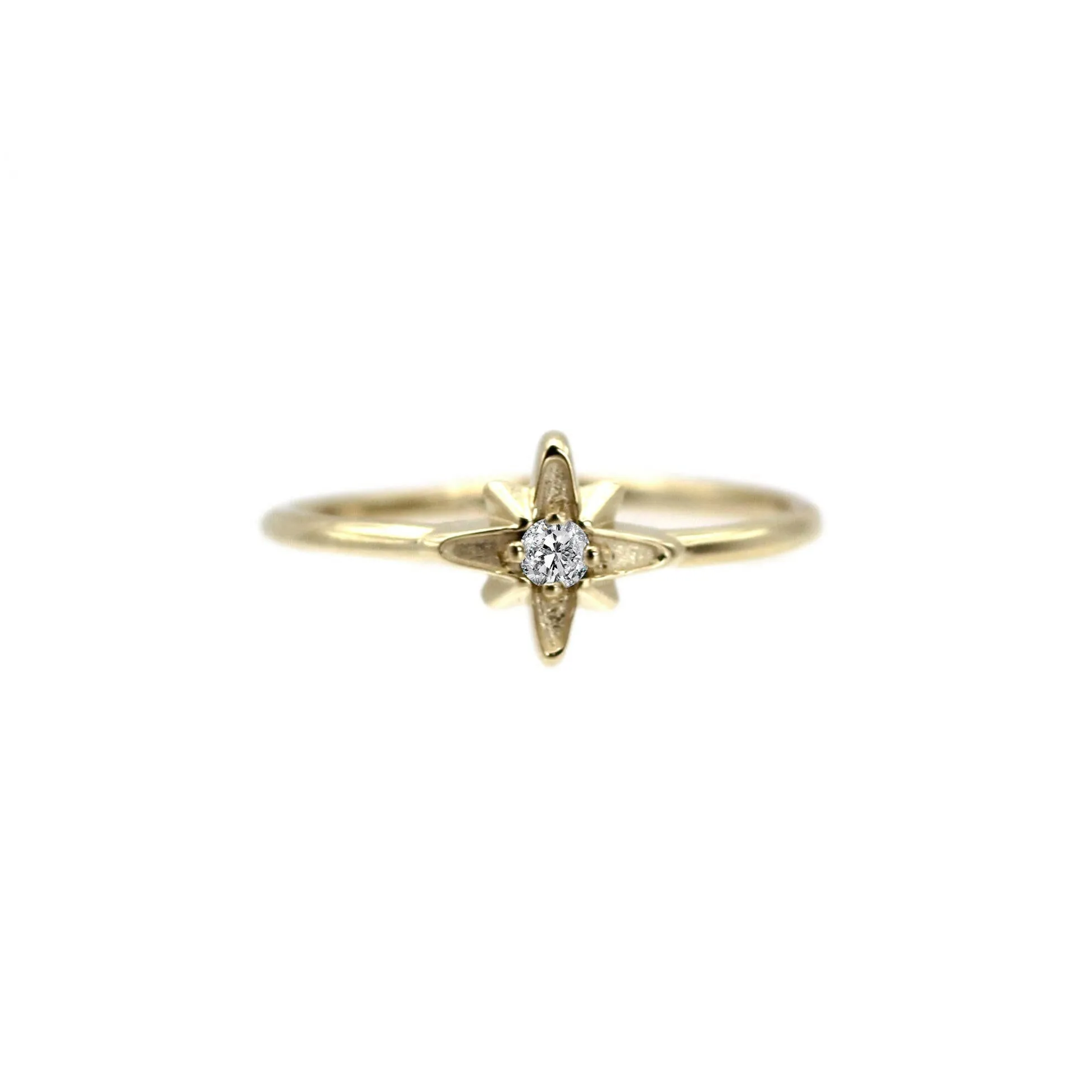 14k North Star Birthstone Ring by VicStoneNYC Fine Jewelry