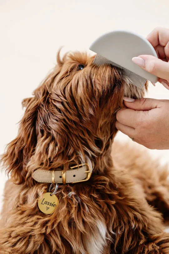 All-in-One Grooming Kit