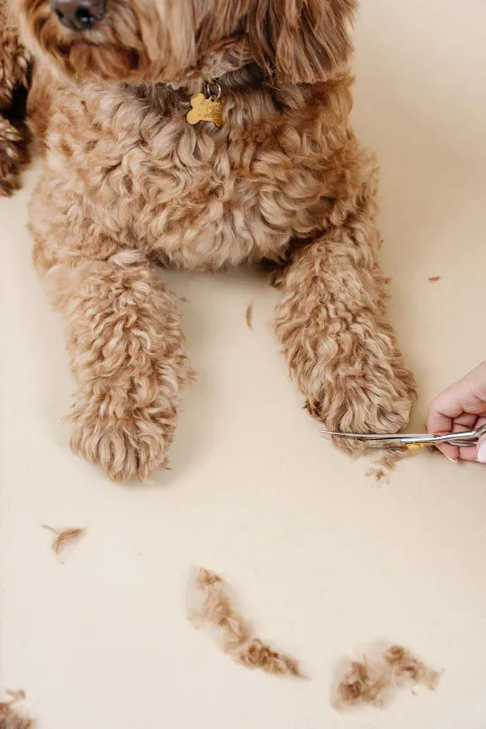 All-in-One Grooming Kit