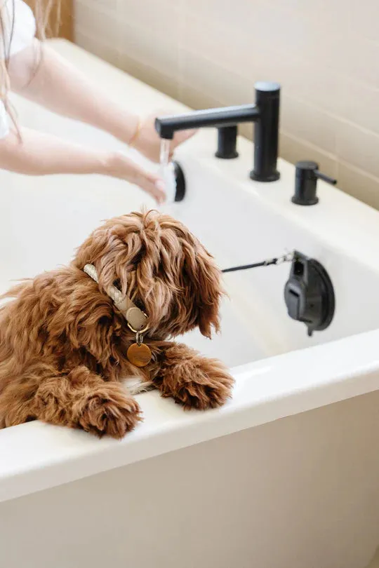 All-in-One Grooming Kit