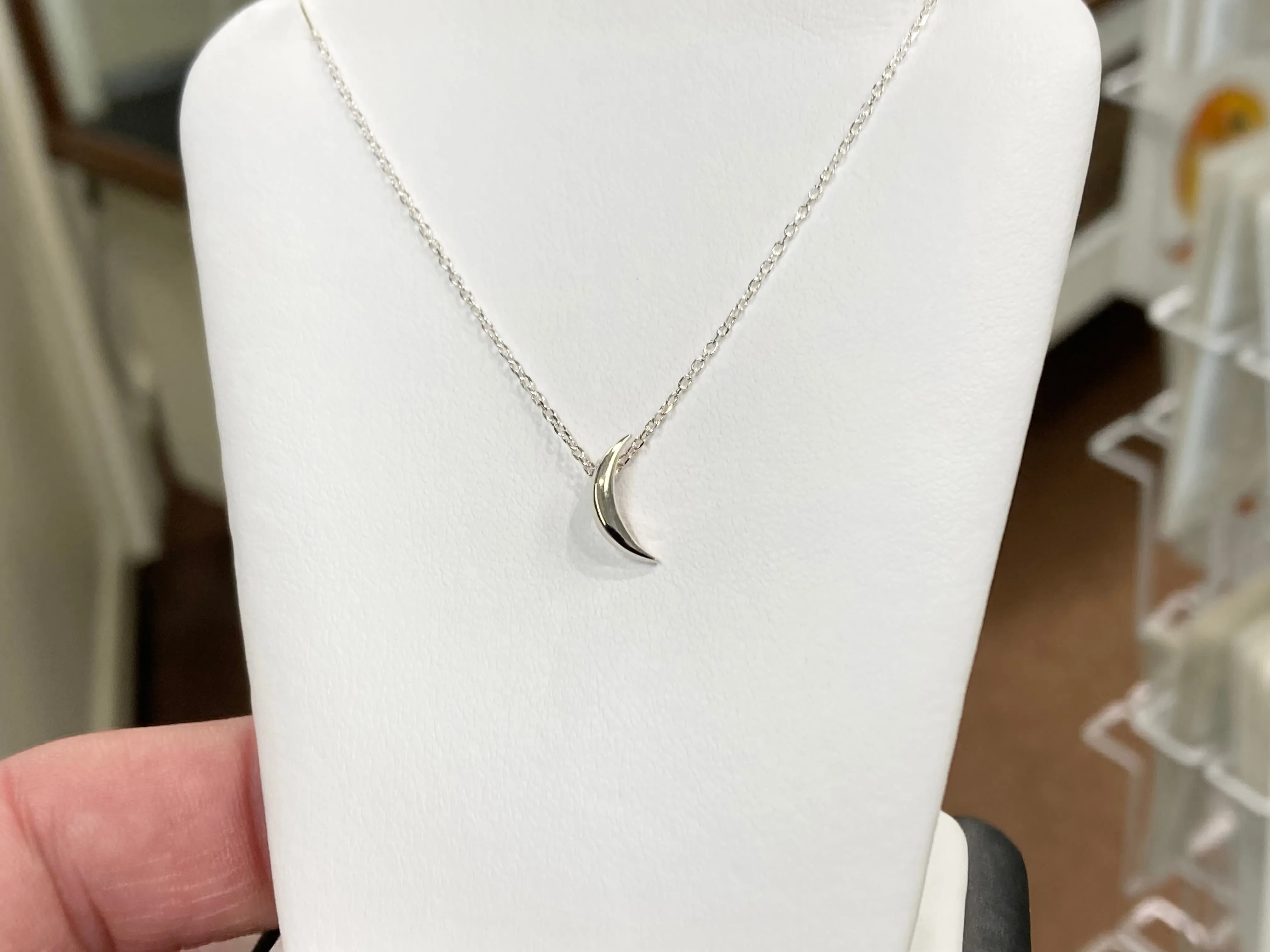 Crescent Moon Silver Adjustable Necklace