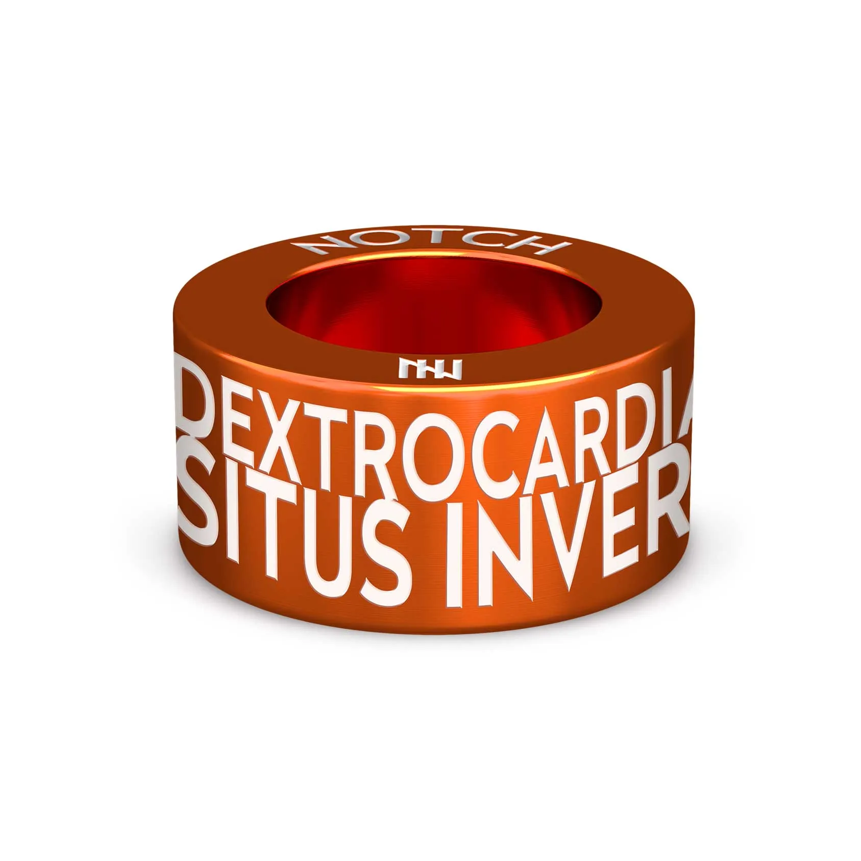 DEXTRO SITUS INVERSUS NOTCH Charm