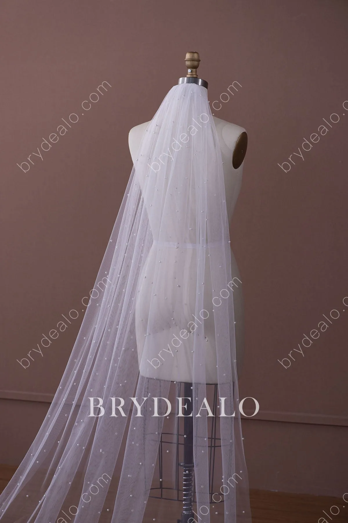 Elegant Polished Pearls Cathedral Length Bridal Veil