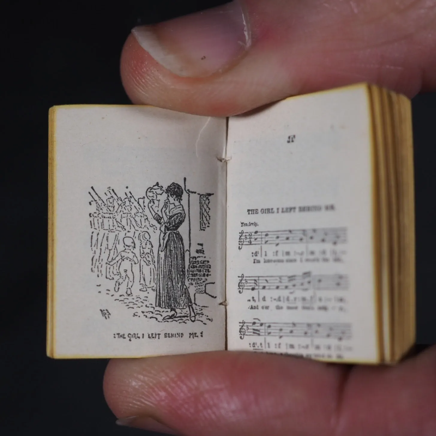 Moodie, William, editor. Old English, Scotch and Irish songs with music : a favourite selection with 24 sketches by A.S.Boyd. Bryce, David & Son. Glasgow. 1895.