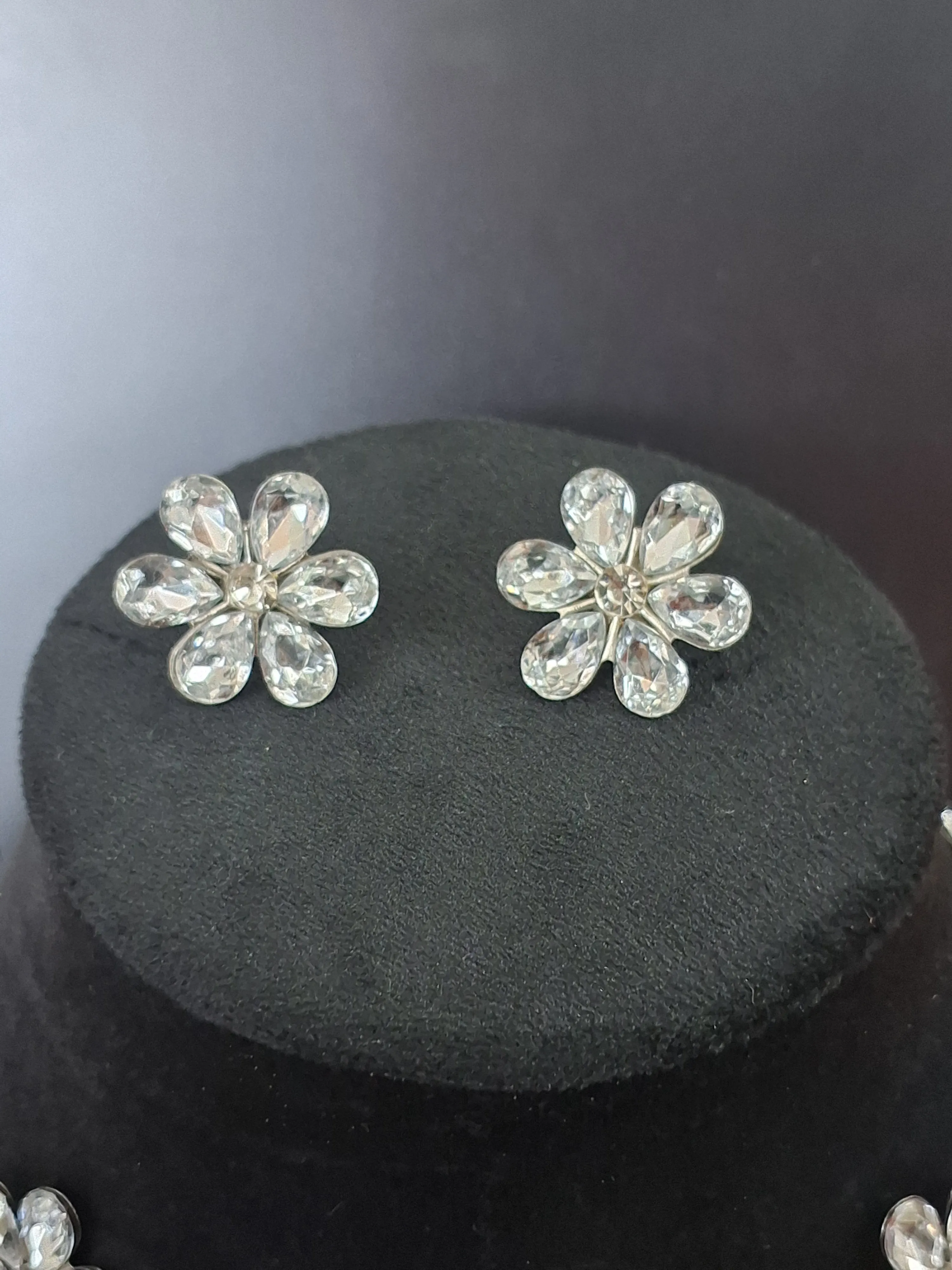 Silver Colour Flower design Necklace with Earring